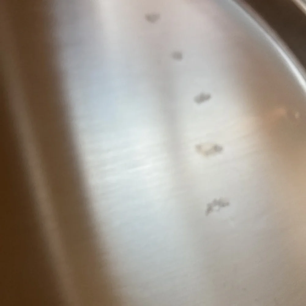 Oneida round stainless
